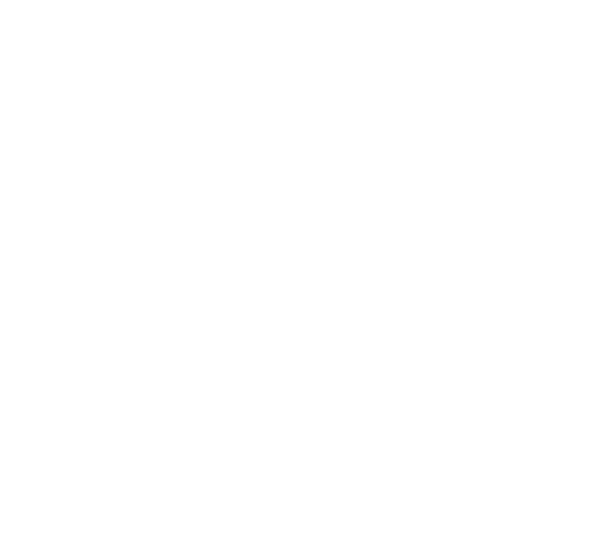 100 Black Men of the Bay Area, Inc. – Mentoring. Scholarship. 100Cares. Health. Brotherhood
