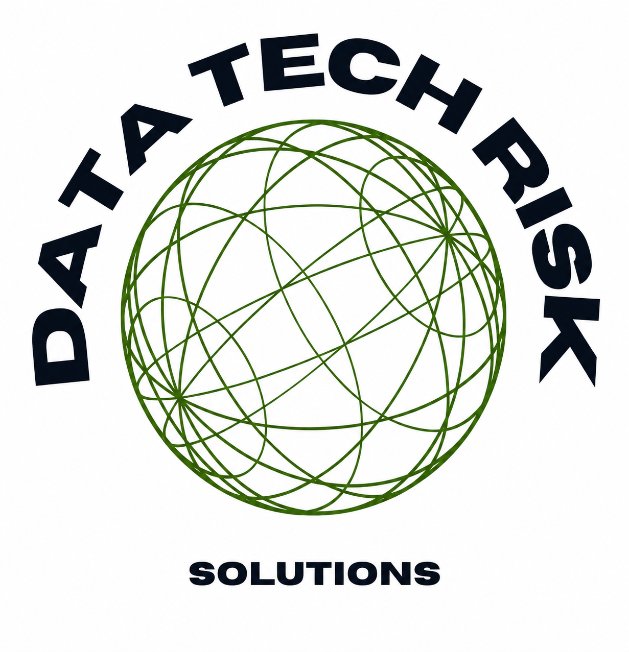 DataTechRisk Solutions logo