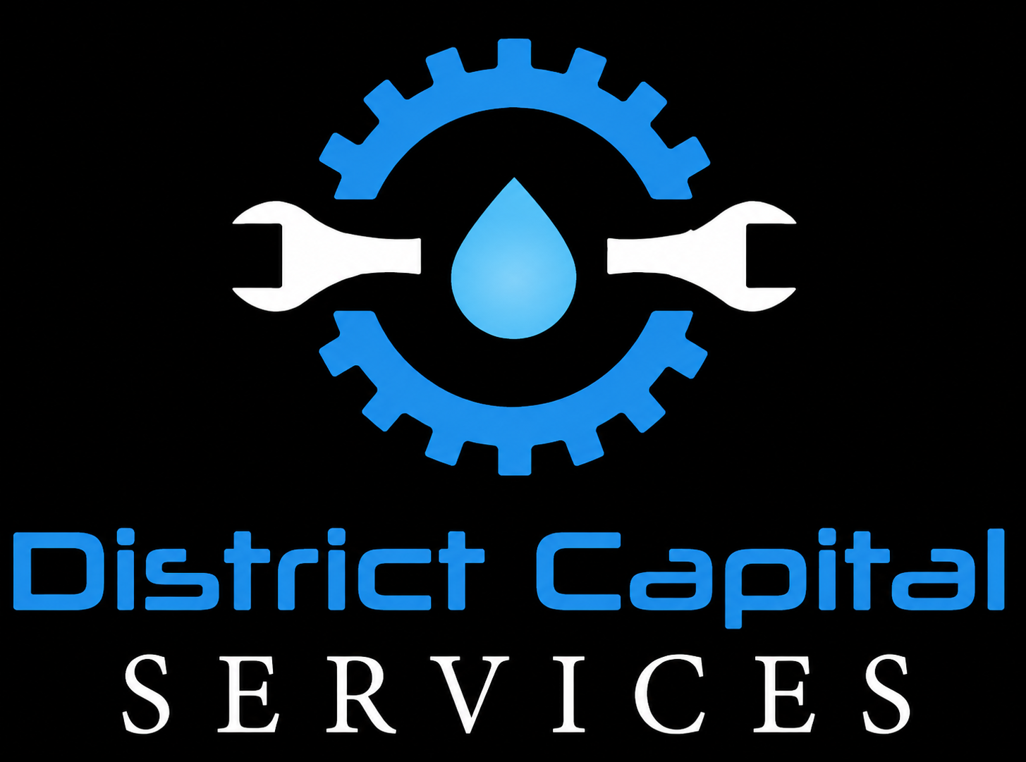 District Capital Services LLC logo