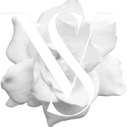 The Vinyl Society logo