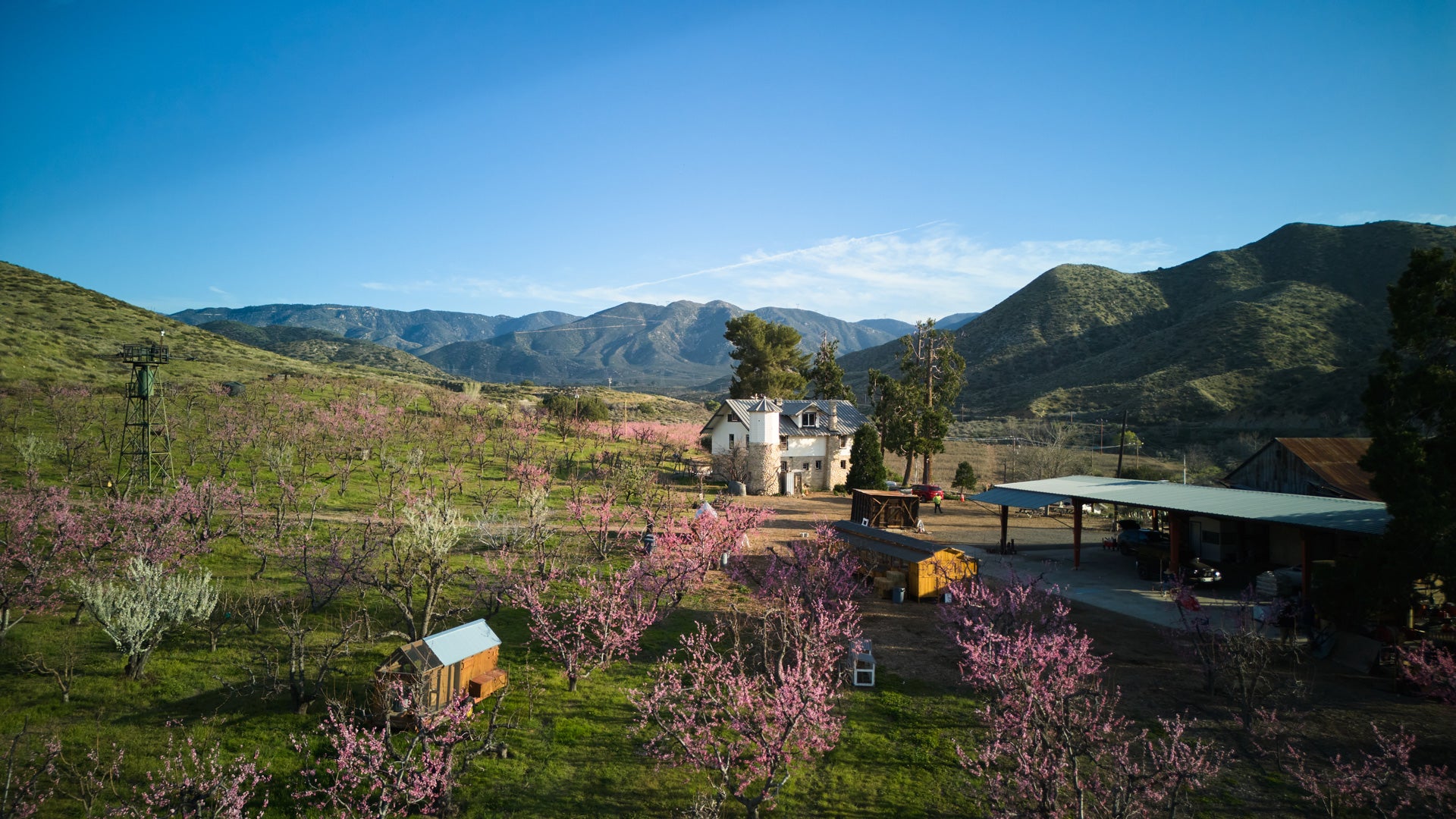 Bloom Ranch of Acton logo