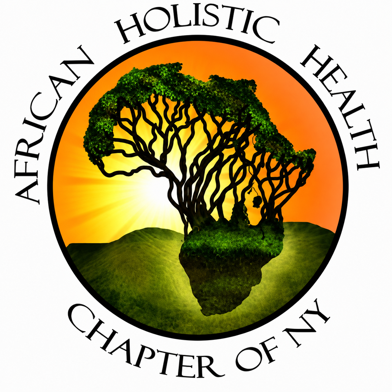 African Holistic Health Chapter of NY logo