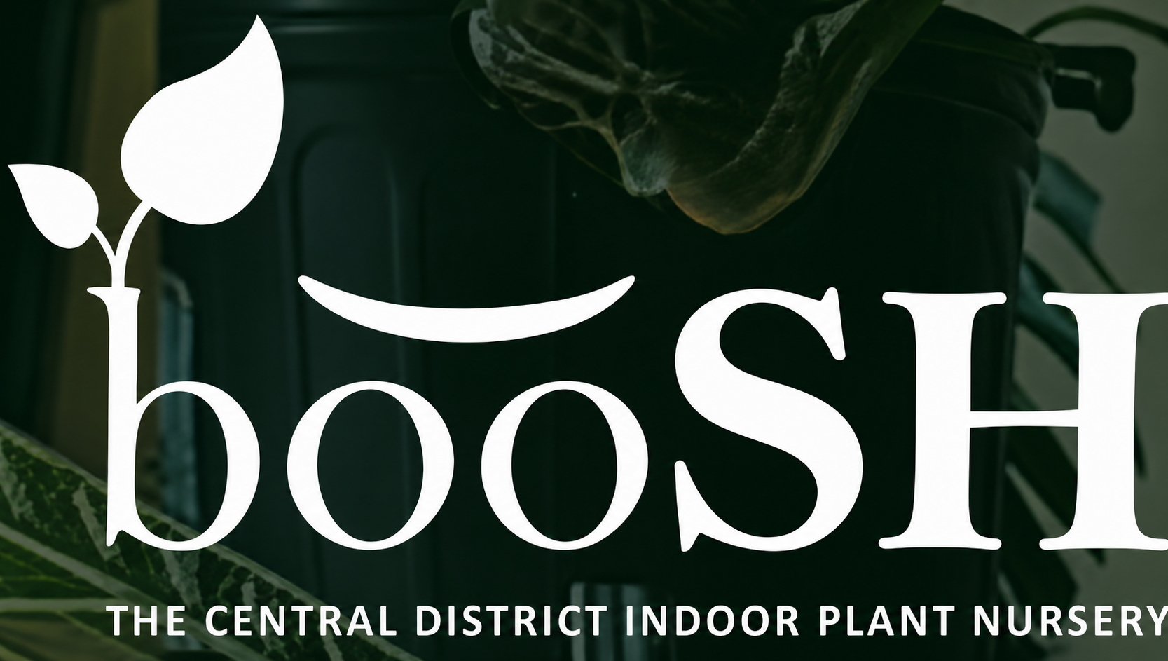 booSH logo